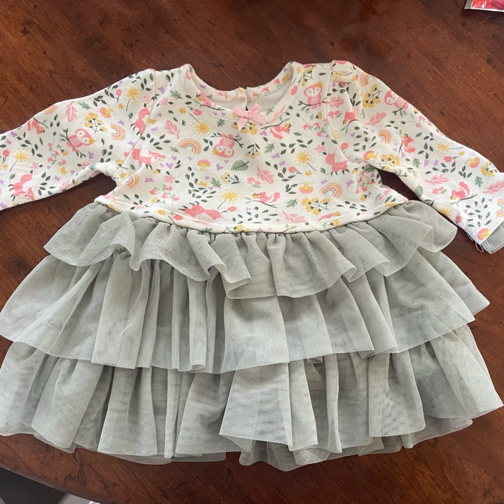 Floral Long Sleeve Dress with Tulle Skirt 9 months